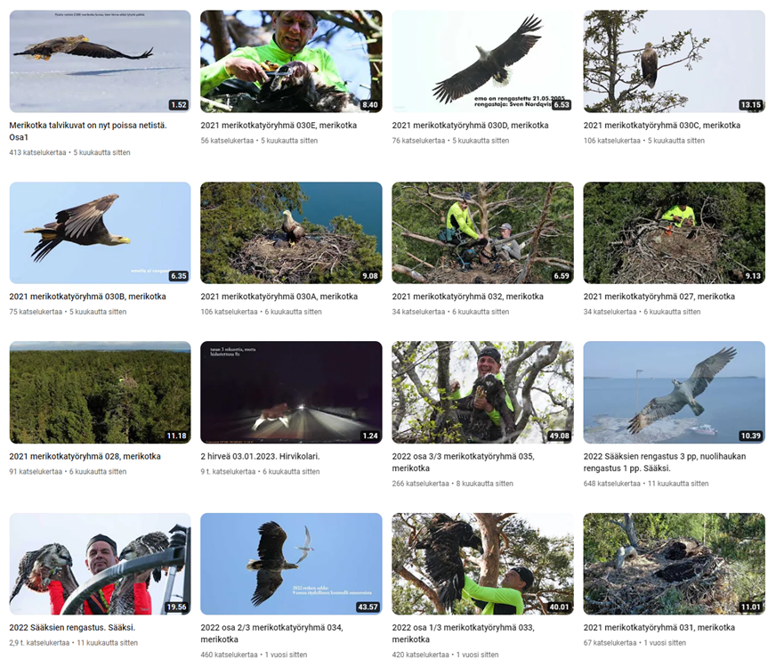 A screenshot of a video

Description automatically generated