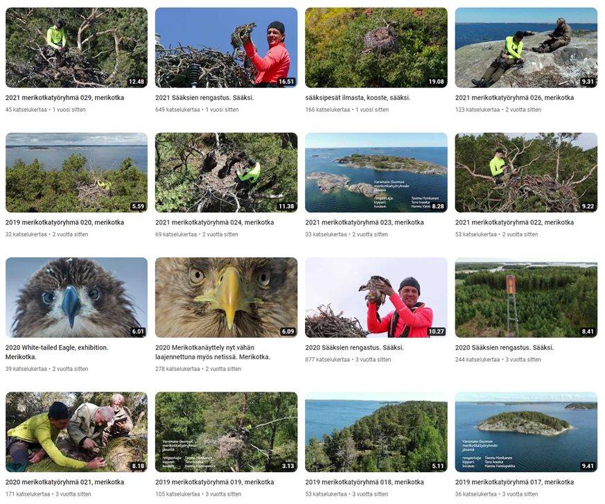 A screenshot of a video

Description automatically generated