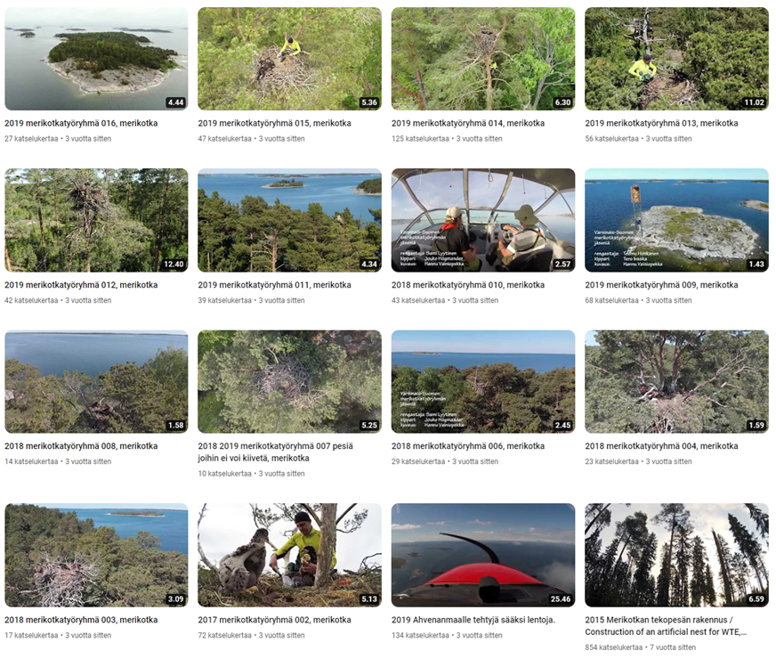 A screenshot of a video

Description automatically generated